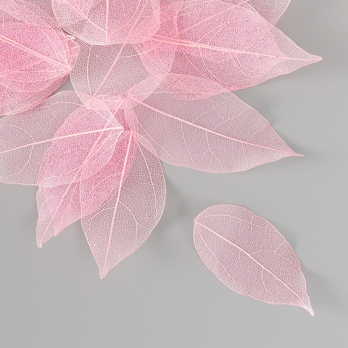 Листья скелетированные для творчества "Светло-розовые" набор 20 шт h=6-6,5 см