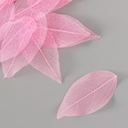 Листья скелетированные для творчества "Розовые" набор 20 шт h=6-6,5 см - Фото 2