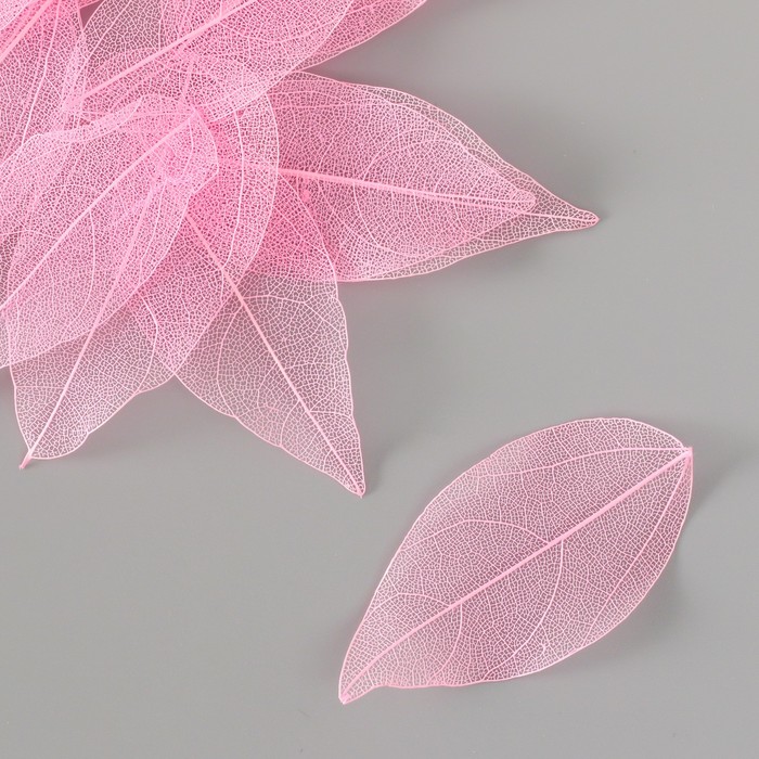 Листья скелетированные для творчества "Розовые" набор 20 шт h=6-6,5 см