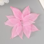 Листья скелетированные для творчества "Розовые" набор 20 шт h=6-6,5 см - фото 23748226