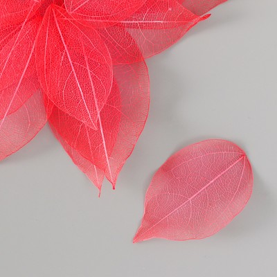Листья скелетированные для творчества "Красные" набор 20 шт h=6-6,5 см