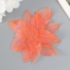 Листья скелетированные для творчества "Коралловые" набор 20 шт h=6-6,5 см 10230309