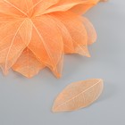 Листья скелетированные для творчества "Оранжевые" набор 20 шт h=6-6,5 см - фото 321124321