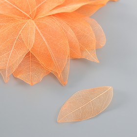 Листья скелетированные для творчества "Оранжевые" набор 20 шт h=6-6,5 см