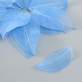 Листья скелетированные для творчества "Синие" набор 20 шт h=6-6,5 см