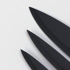 Набор кухонных ножей Magistro Dark wood, 3 предмета: лезвие 10,2 см, 12,7 см, 19 см, цвет чёрный - Фото 3