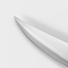 Нож универсальный кухонный Magistro Fedelaso, длина лезвия 12,7 см - фото 4422718
