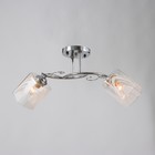 Люстра потолочная "Мари" 2х40Вт Е27 Цвет: Серебро - фото 23978256