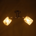 Люстра потолочная "Мари" 2х40Вт Е27 Цвет: Серебро - фото 23978257