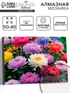 Алмазная вышивка полное заполнение «Астры», на раме, 40×50 см - Фото 1