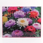 Алмазная вышивка полное заполнение «Астры», на раме, 40×50 см - Фото 2