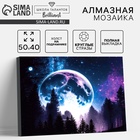 Алмазная вышивка полное заполнение "Сказочный лес", на холсте 40*50 см - Фото 1