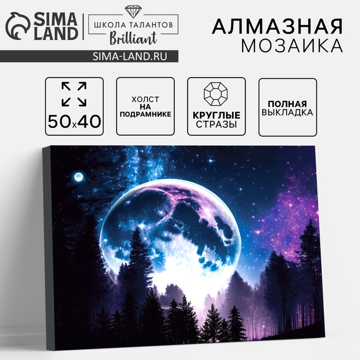 Алмазная вышивка полное заполнение "Сказочный лес", на холсте 40*50 см - Фото 1
