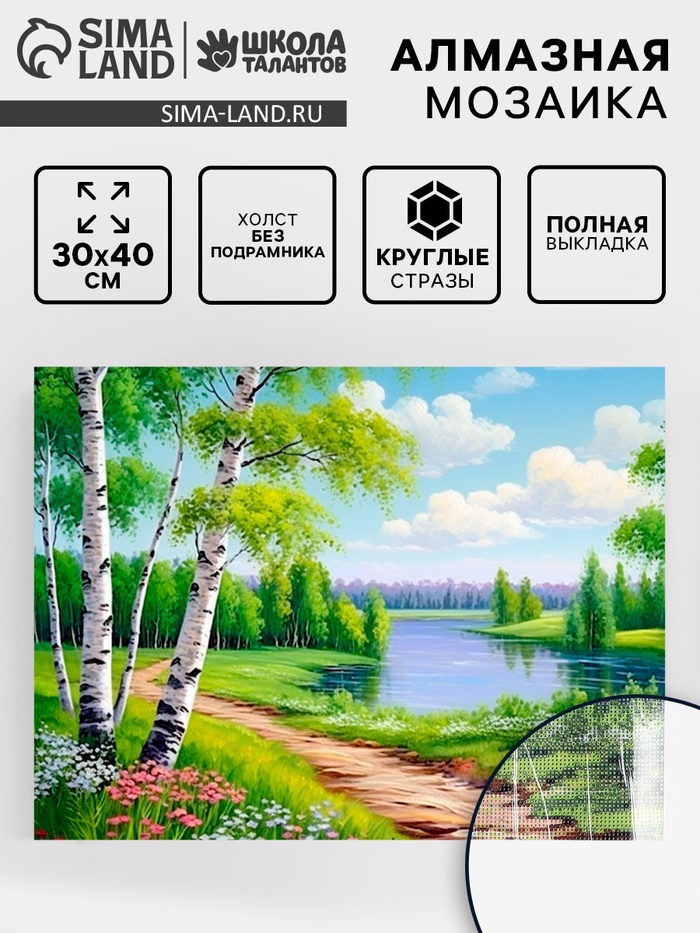 Алмазная вышивка полное заполнение «Березки», 30×40 см, на холсте - Фото 1