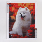 Алмазная вышивка полное заполнение "Собачка", 30*40 см, на холсте - фото 60833201