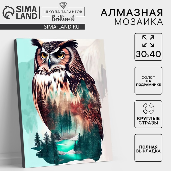Алмазная мозаика с полным заполнением на холсте с подрамником «Филин», 30 х 40 см - Фото 1