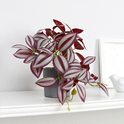 Искусственный цветок в горшке «Традесканция галант», 7.5×17 см