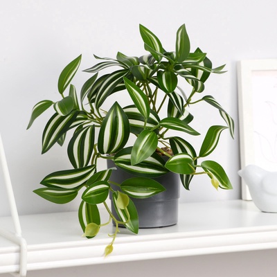 Искусственный цветок в горшке «Традесканция расписная», 7.5×16 см