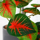 Искусственный цветок в горшке «Каладиум колор галант», 7.5×16 см - Фото 2