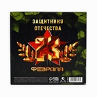 Подарочный набор: ежедневник А6 80 листов и термостакан 250 мл «Сильному духом. 23 февраля» - Фото 6