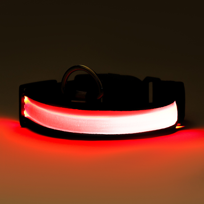 Ошейник с подсветкой Flash 3 режима свечения размер L, ОШ 45-52 х 2,5 см красный