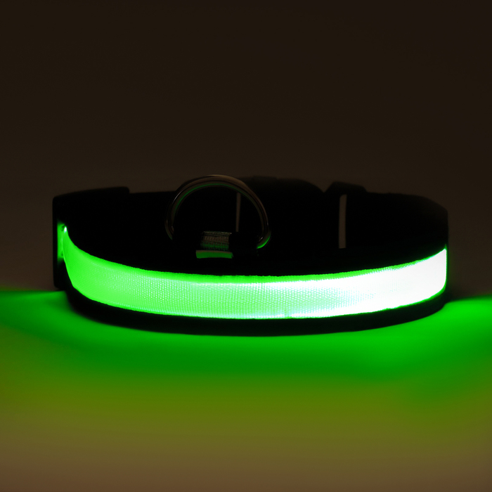 Ошейник с подсветкой Flash 3 режима свечения размер L, ОШ 45-52 х 2,5 см зелёный