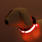 Ошейник с подсветкой Flash 3 режима свечения, размер S, ОШ 35-43×2.5 см красный - Фото 2