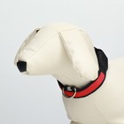 Ошейник с подсветкой Flash 3 режима свечения, размер S, ОШ 35-43×2.5 см красный - Фото 3