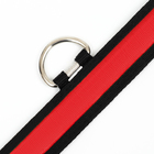 Ошейник с подсветкой Flash 3 режима свечения, размер S, ОШ 35-43×2.5 см красный - Фото 9