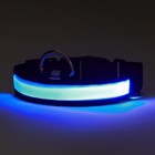Ошейник с подсветкой Flash 3 режима свечения размер S, ОШ 35-43 х 2,5 см синий - фото 9400494
