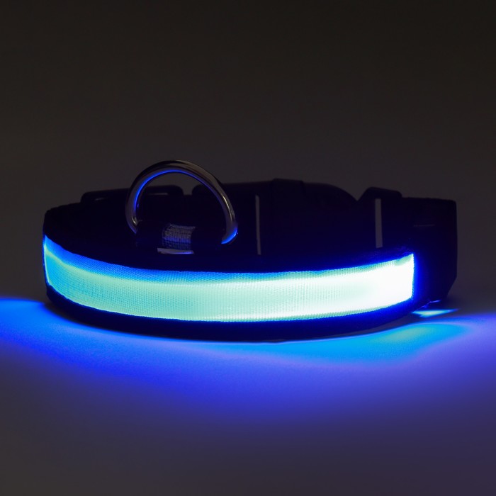 Ошейник с подсветкой Flash 3 режима свечения размер S, ОШ 35-43 х 2,5 см синий