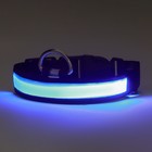 Ошейник с подсветкой Flash 3 режима свечения размер S, ОШ 35-43 х 2,5 см синий - фото 9400487