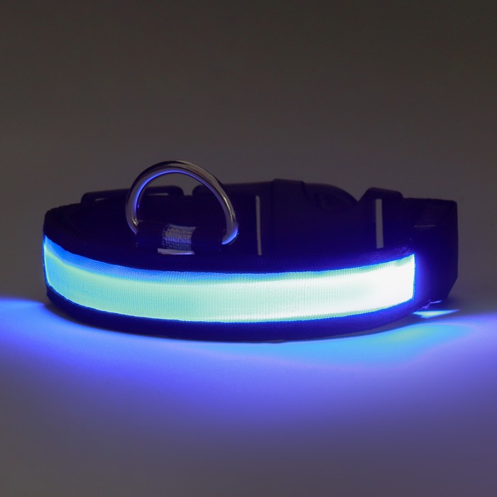 Ошейник с подсветкой Flash 3 режима свечения размер S, ОШ 35-43 х 2,5 см синий