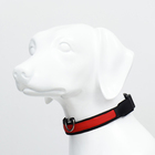 Ошейник с подсветкой Flash 3 режима свечения, размер М, ОШ 40-48×2.5 см, красный - Фото 3