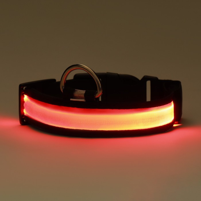 Ошейник с подсветкой Flash 3 режима свечения, размер М, ОШ 40-48 х 2,5 см, красный