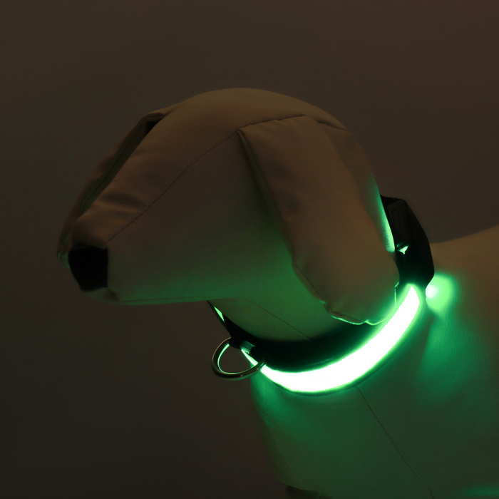 Ошейник с подсветкой Flash 3 режима свечения размер М, ОШ 40-48 х 2,5 см зелёный