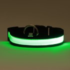 Ошейник с подсветкой Flash 3 режима свечения, размер XL, ОШ 52-60 х 2,5 см зелёный - Фото 4