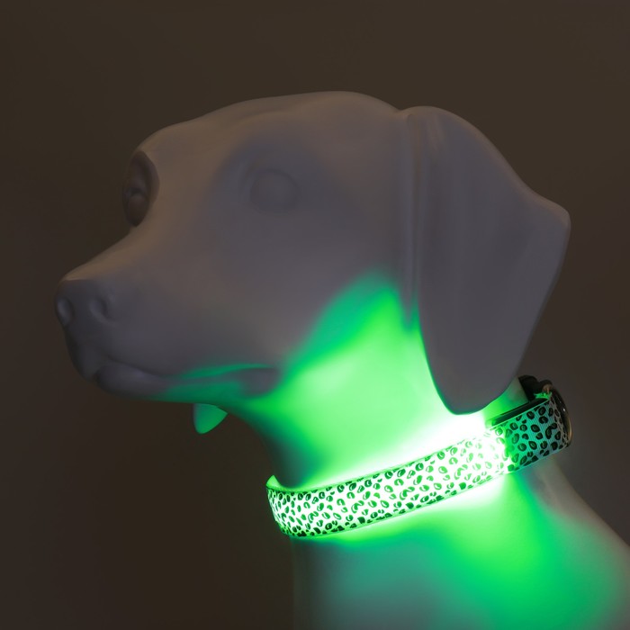 Ошейник с подсветкой Леопард 3 режима свечения, размер L, ОШ 48-60 х 2,5 см зелёный