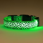 Ошейник с подсветкой Леопард 3 режима свечения, размер L, ОШ 48-60 х 2,5 см зелёный - фото 9420275