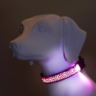 Ошейник с подсветкой Леопард 3 режима свечения, размер L, ОШ 48-60 х 2,5 см фиолетовый - фото 9420282