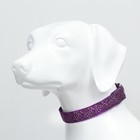 Ошейник с подсветкой Леопард 3 режима свечения, размер L, ОШ 48-60 х 2,5 см фиолетовый - фото 23815512