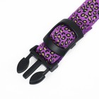 Ошейник с подсветкой Леопард 3 режима свечения, размер L, ОШ 48-60 х 2,5 см фиолетовый - фото 23815517
