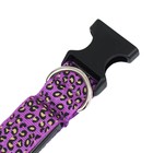 Ошейник с подсветкой Леопард 3 режима свечения, размер L, ОШ 48-60 х 2,5 см фиолетовый - фото 23815518