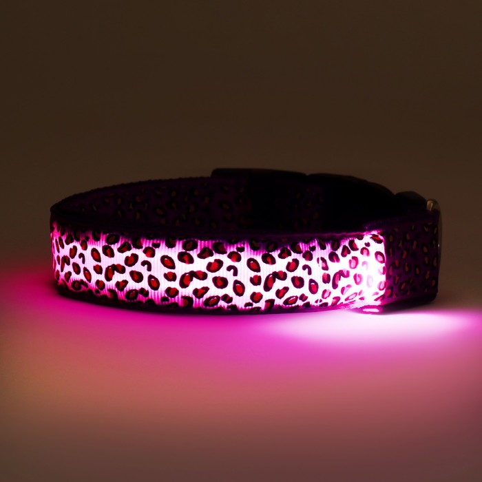 Ошейник с подсветкой Леопард 3 режима свечения, размер L, ОШ 48-60 х 2,5 см фиолетовый