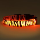 Ошейник с подсветкой Тигр 3 режима свечения, размер L, ОШ 48-60 х 2,5 см оранжевый - фото 9420300