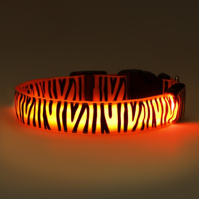 Ошейник с подсветкой Тигр 3 режима свечения, размер L, ОШ 48-60 х 2,5 см оранжевый