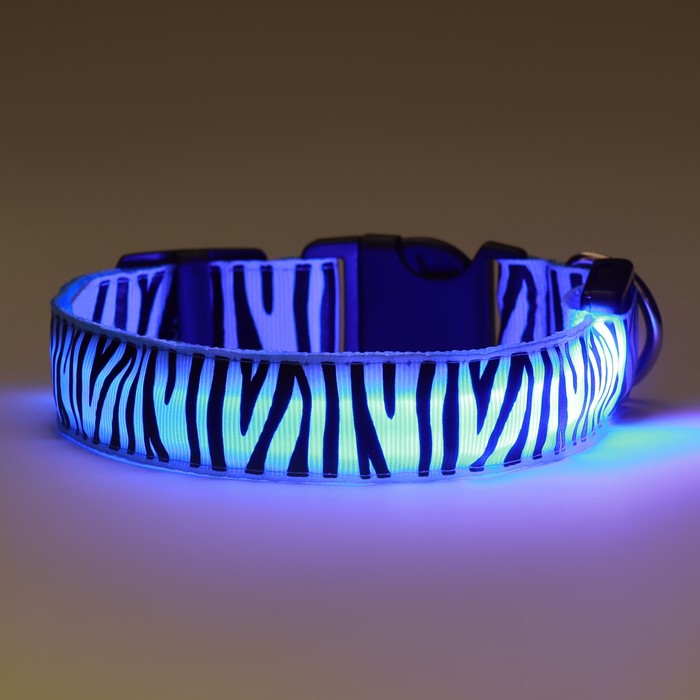 Ошейник с подсветкой Тигр 3 режима свечения, размер L, ОШ 48-60 х 2,5 см синий