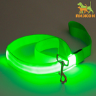 Поводок с подсветкой 3 режима свечения, 120 х 2,5 см, зелёный - фото 321160908