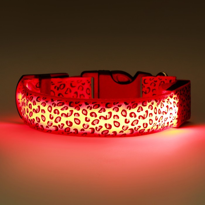 Ошейник с подсветкой Леопард 3 режима свечения размер S, ОШ 22-40 х 2,5 см красный