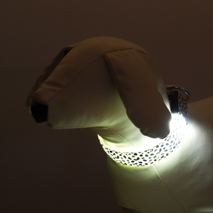 Ошейник с подсветкой Леопард 3 режима свечения, размер S, ОШ 22-40 х 2,5 см белый
